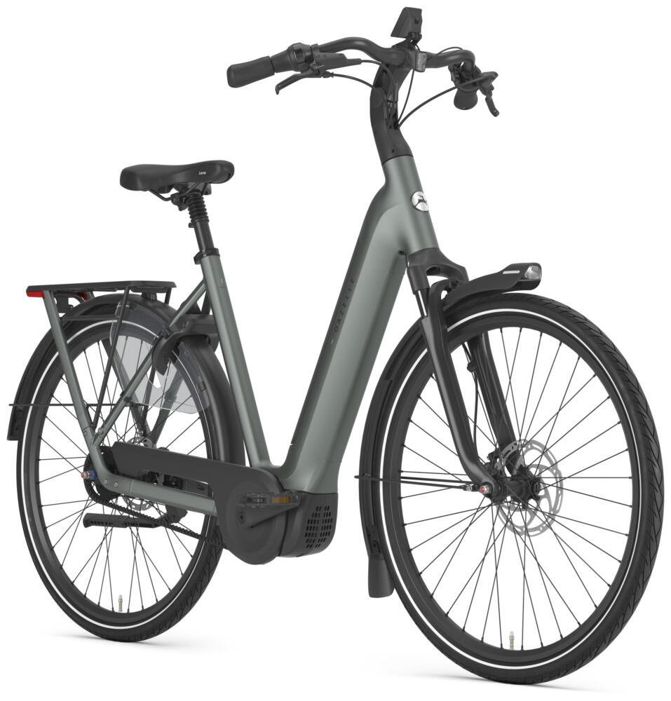 Gazelle Arroyo C5+ Elite First Edition Low-Step, Seitenansicht