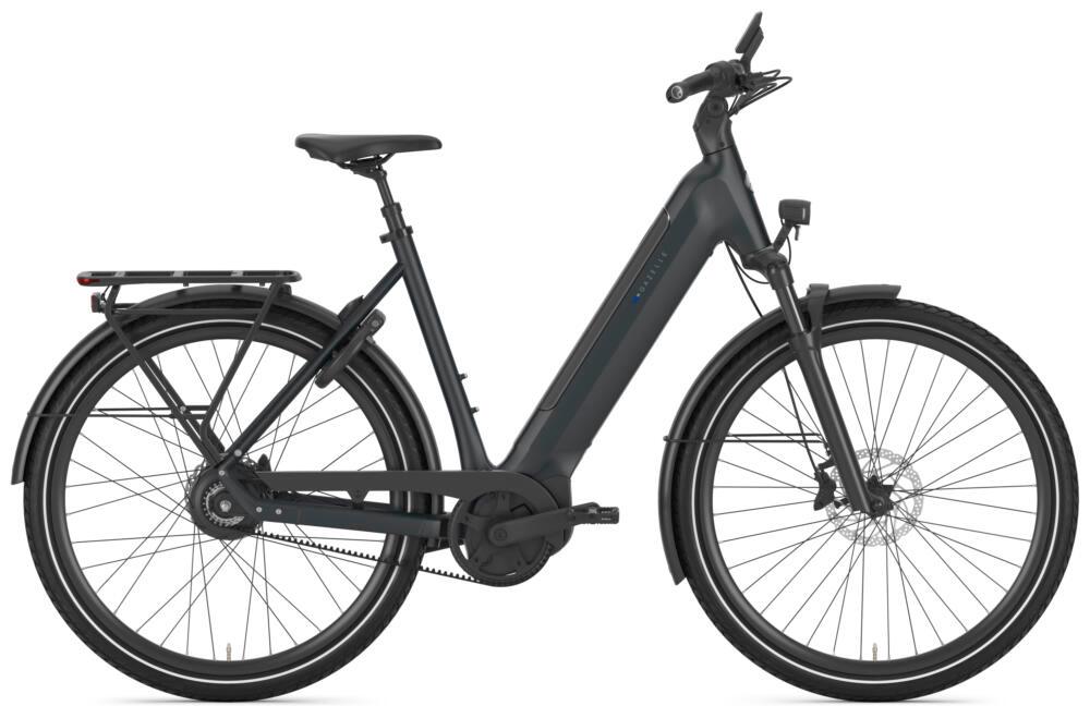 Gazelle Ultimate C380