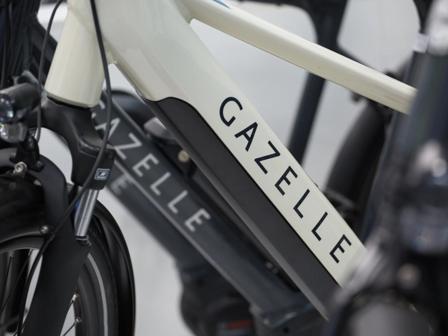 Akku und Rahmen eines Gazelle E-Bikes